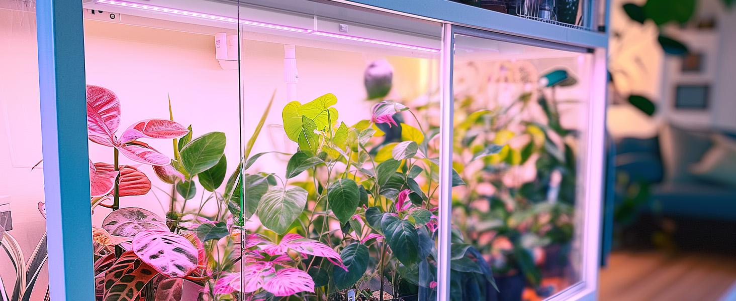 Barrina T5 Grow Light, 1FT, Yellow Full Spectrum, Plant Growing Lamp, LED Grow Light Bulbs Plug and Play, 4 Packs