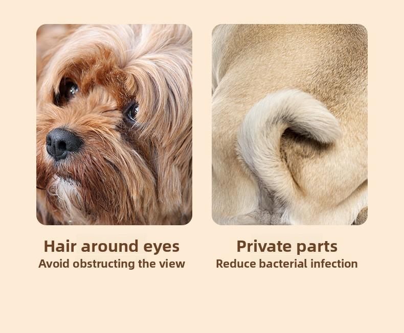 Rechargeable Pet Hair Trimmer Kit, Pet Paw Trimmer, Cordless Quiet Dog Trimmer for Grooming with LED Light, Small Dog Grooming Clippers for Dogs & Cats, Pet Grooming Tool,Waterproof, low noise pet shaver