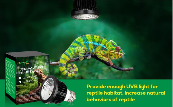 High Intensity UVB Reptile Light Bulb 5W 5.0 6W 10.0 Full Spectrum UVA UVB for Reptiles simulating Sunlight Promote Synthesis of Vitamin D3 in Reptile Pets for Turtle,Lizard,Bearded Dragon,Spider High Intensity UVB Reptile Light Bulb 5W 5.0 6W 10.0 Full Spectrum UVA UVB for Reptiles simulating Sunlight Promote Synthesis of Vitamin D3 in Reptile Pets for Turtle,Lizard,Bearded Dragon,Spider