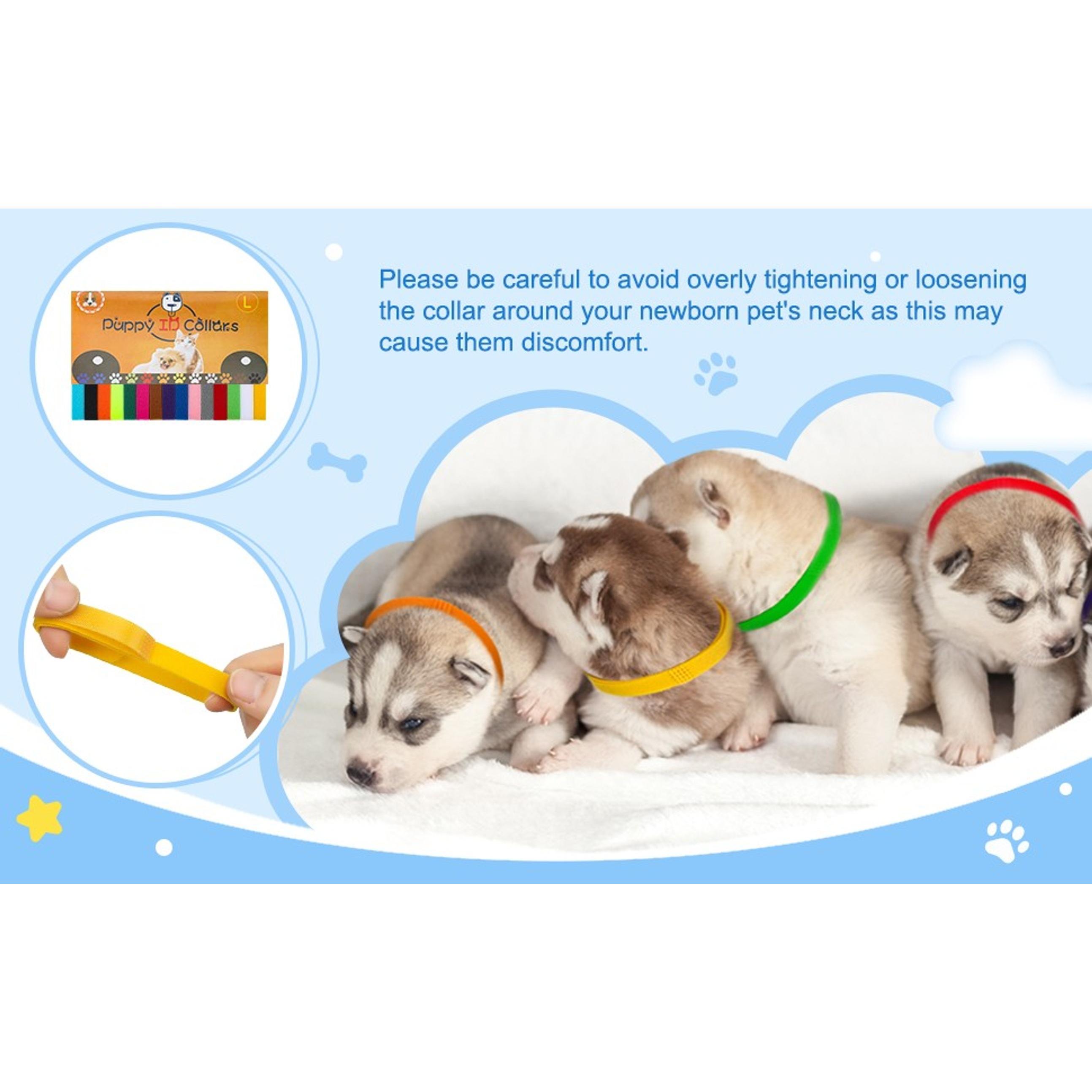 57-Pcs Functional Puppy Whelping Kit with Foldable Base, Includes Feeding Tube (40 in Diameter), Syringes & Tube Feeding Accessories for Newborn Puppies Birth & Bottle Feeding Supplies, Functional Kit
