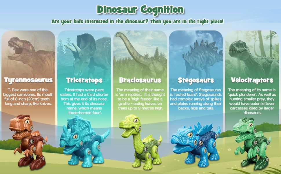 Laradola 5P Dinosaurs Toy Gift with Box & Electric Drill for Kids: Take Apart & Assemble Dinos STEM Kit - Educational Construction Building Playset Christmas Birthday Party Gift for Boy & Girl