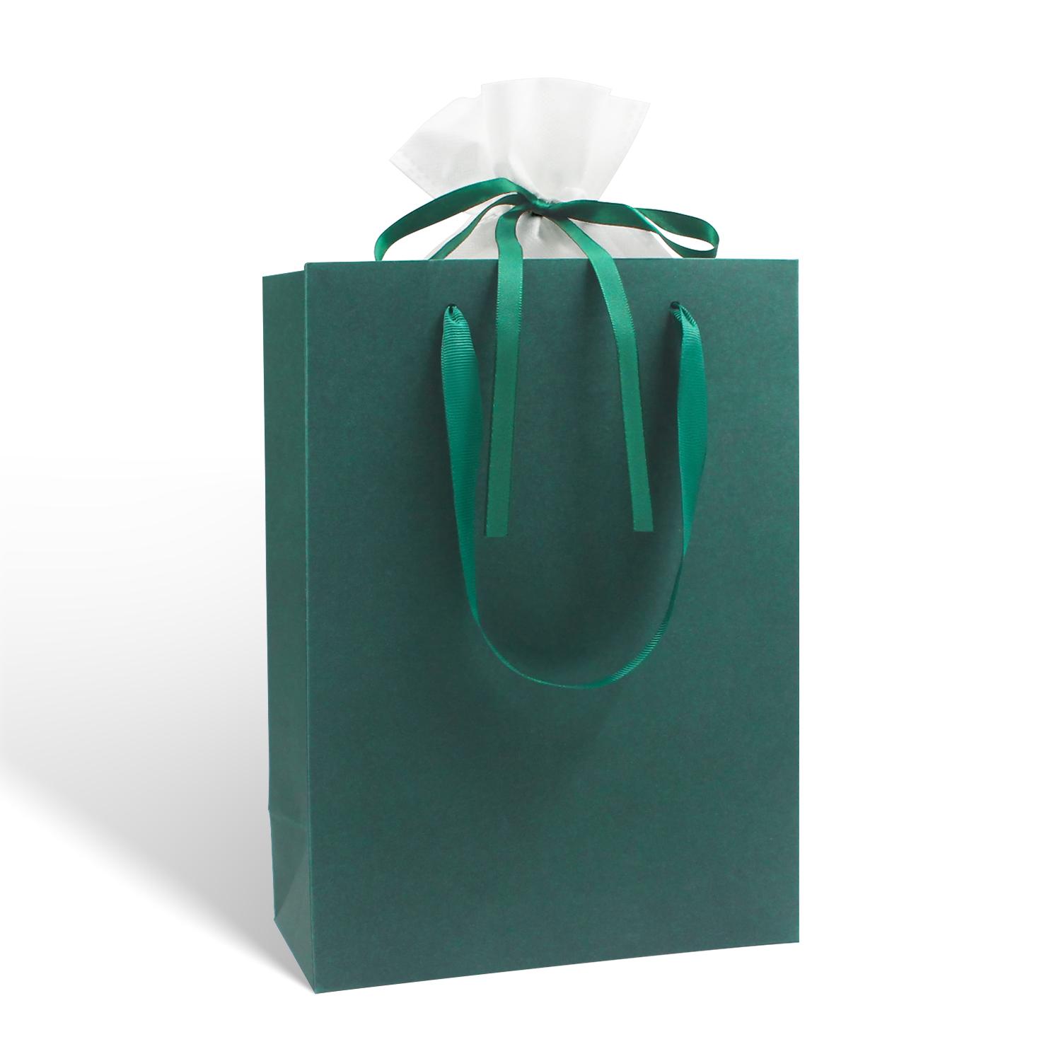 Party Favor Bags Set of 2 | Reusable Kraft Paper Tote Bag with Ribbon Drawstring Non-Woven Pouch | Wedding Guest Gift Wrap Bridal Shower Baby Shower Return Gifts | Multi Colour