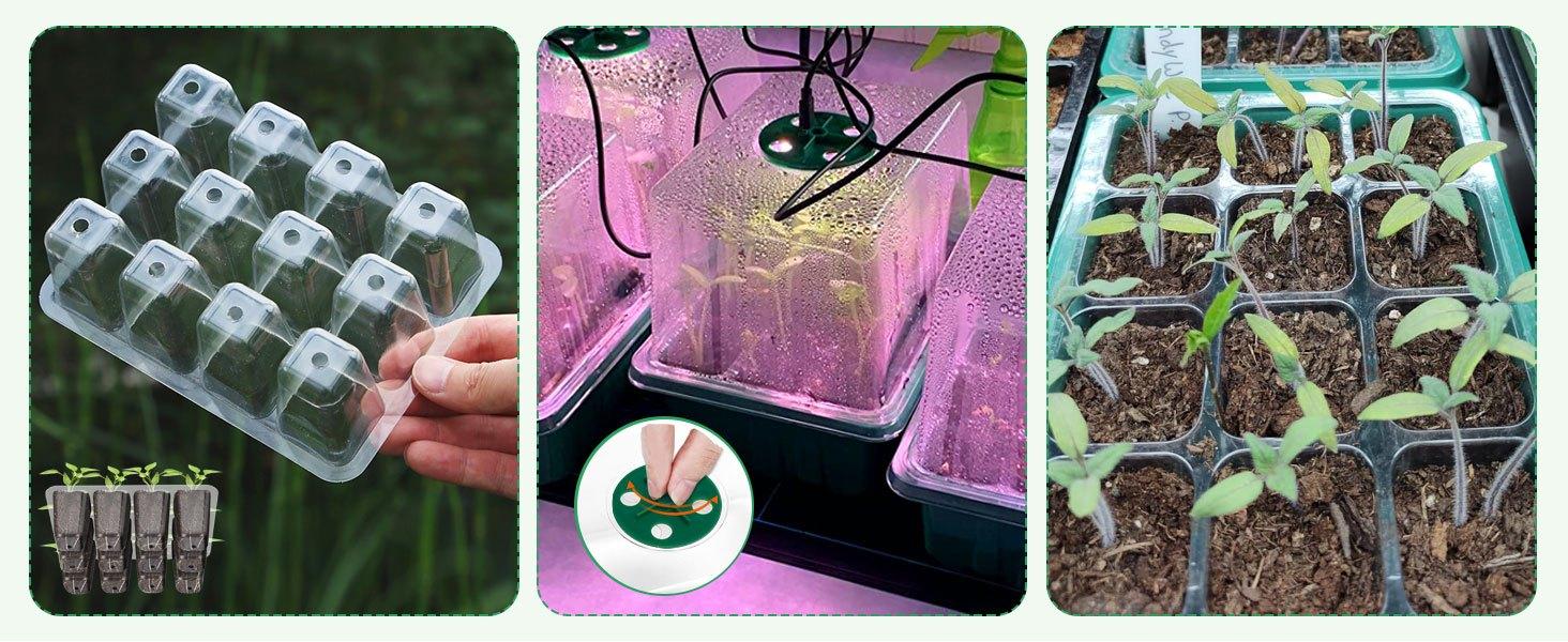 Plastic Seed Starter Tray Kit with Grow Light - 4 Pack 12-Cell Plant Trays, Humidity Domes, Base, Mini Greenhouse Propagator for Indoor Seed Germination, Vegetable Flower Cultivation