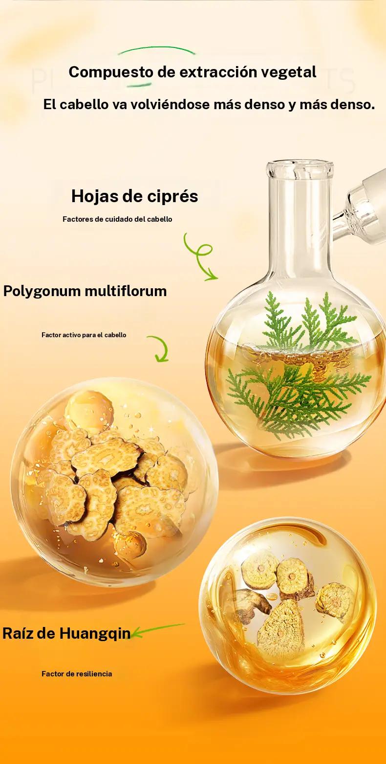 Deliiston Shampoo and Conditioner 300ml, contains ginger extract to strengthen the hair roots, moisturize the hair, and make it soft and easy to comb.