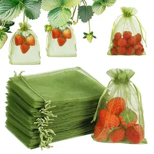 100pcs Fruit Protection Bags, Strawberry Netting Cover, Drawstring Mesh Bags, Pest Barrier for Blueberry Small Fruit