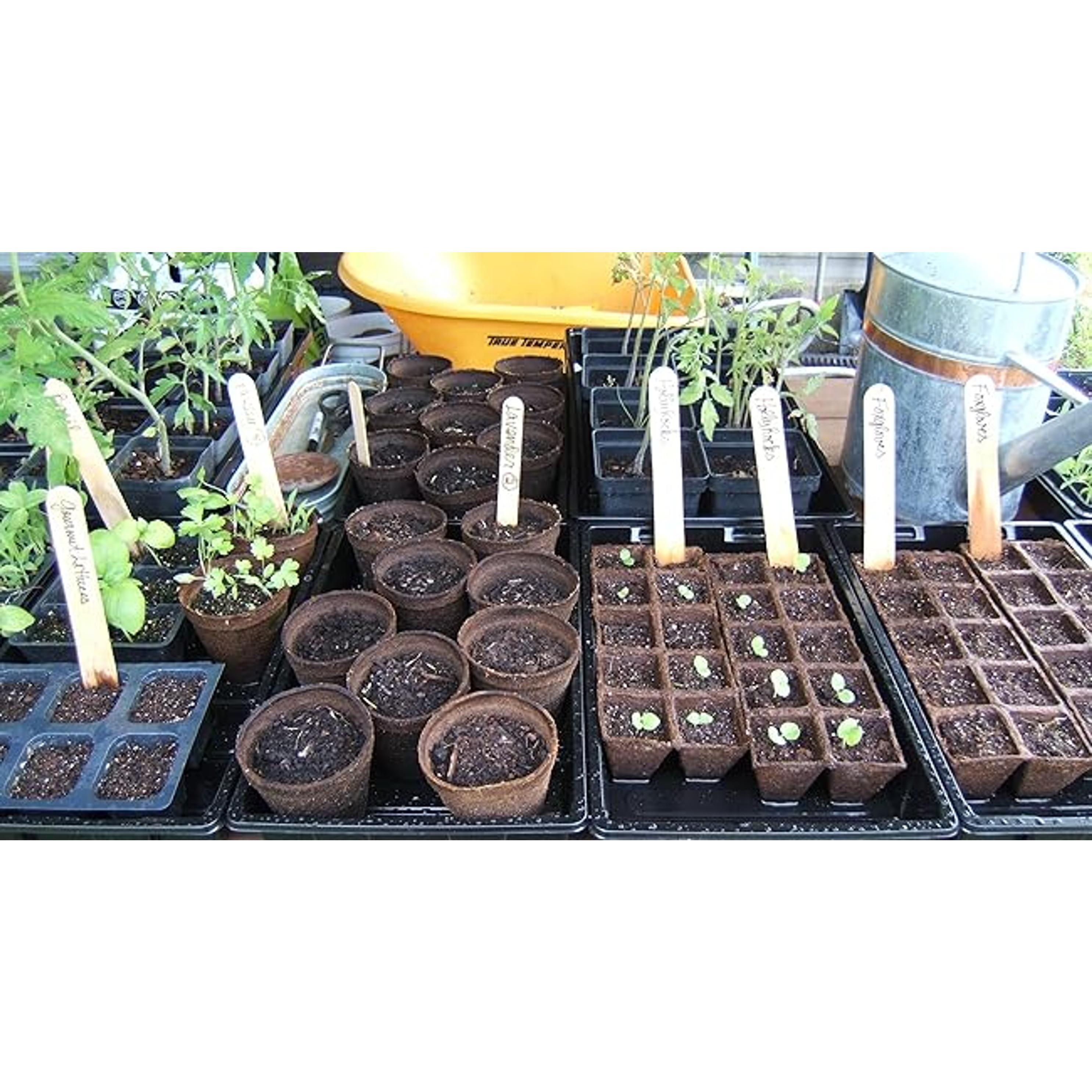 10 Pack Seed Trays, Reusable Plant Grow Trays, Ideal for Seed Starting, Microgreens, Indoor Gardening, and Greenhouse Nurseries - No Drain Holes, 14.5"x9"
