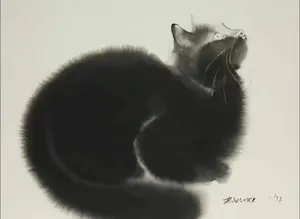 background preload poster image 