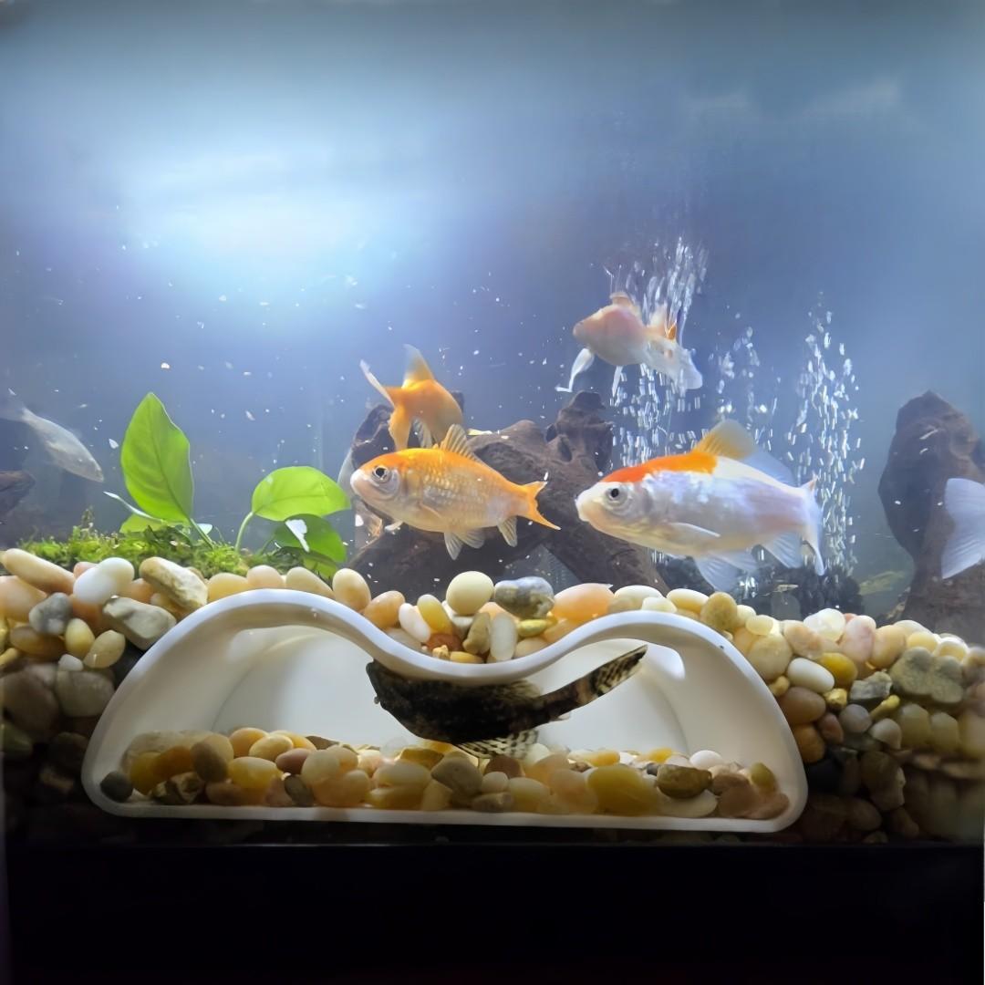 Bionic Aquarium Cave System, Dual Entrance Curved Tunnel Group, Non-Toxic Resin Hideout for Small Fish Shrimp, Modular Eco-Friendly Decor Trunk