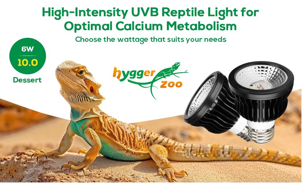 High Intensity UVB Reptile Light Bulb 5W 5.0 6W 10.0 Full Spectrum UVA UVB for Reptiles simulating Sunlight Promote Synthesis of Vitamin D3 in Reptile Pets for Turtle,Lizard,Bearded Dragon,Spider