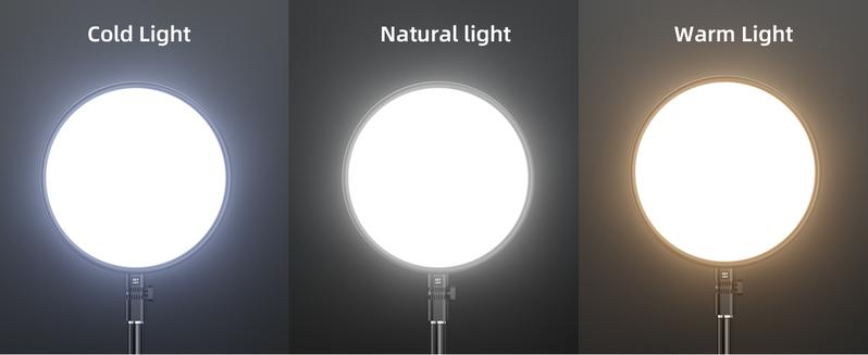 (Valentine's Deal) Weilisi Ring Light with Stand and Phone Holder, 13" Full-Screen Dimmable LED for Live Streaming/Makeup/Barber, 6500K Daylight, 79" Tripod & Wireless Remote