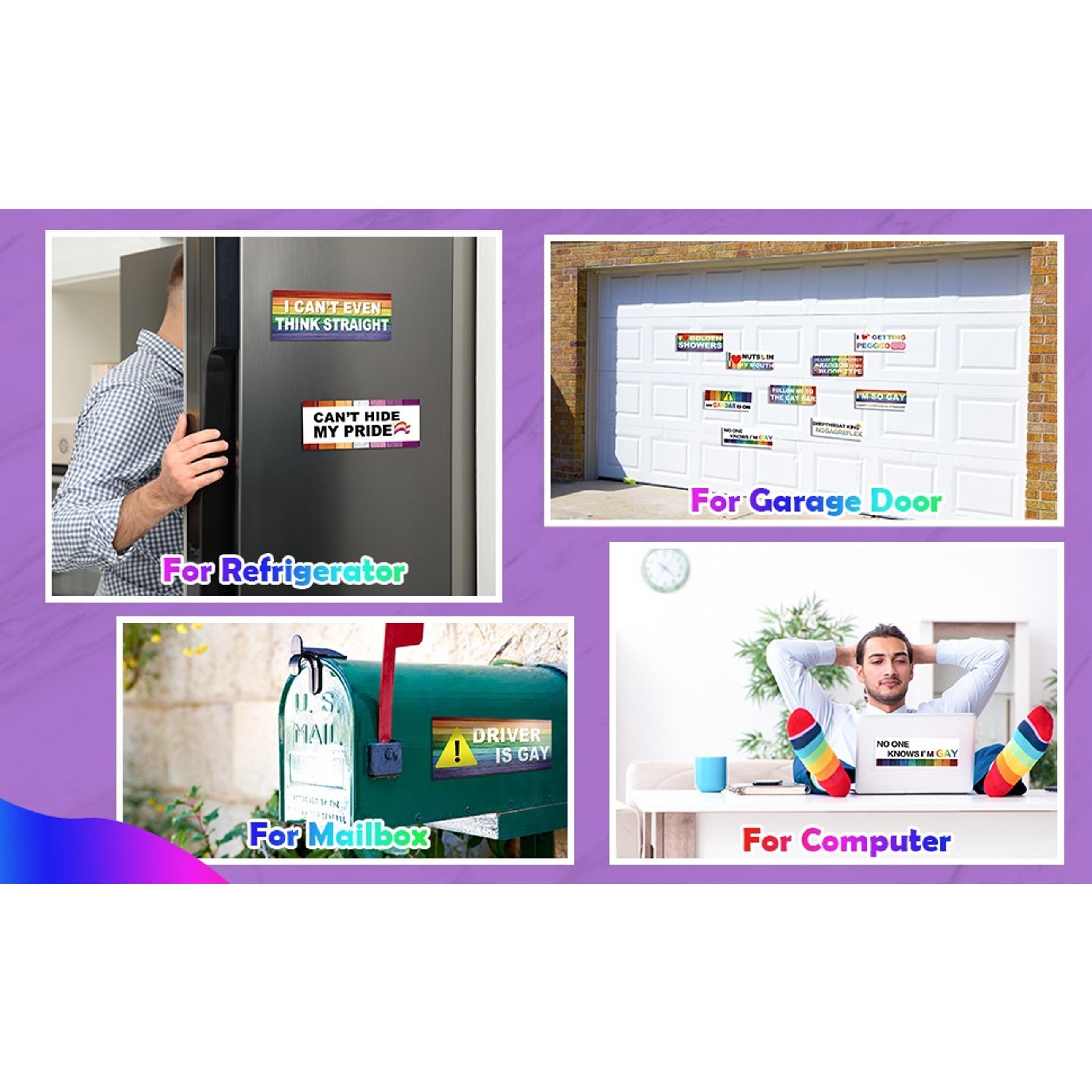 10 Pcs Funny LGBT Rainbow Bumper Decals Stickers Colorful Prank Car Stickers Magnetic Car Accessories for Truck Vehicle Luggage Window Refrigerator Stylish StyleGift