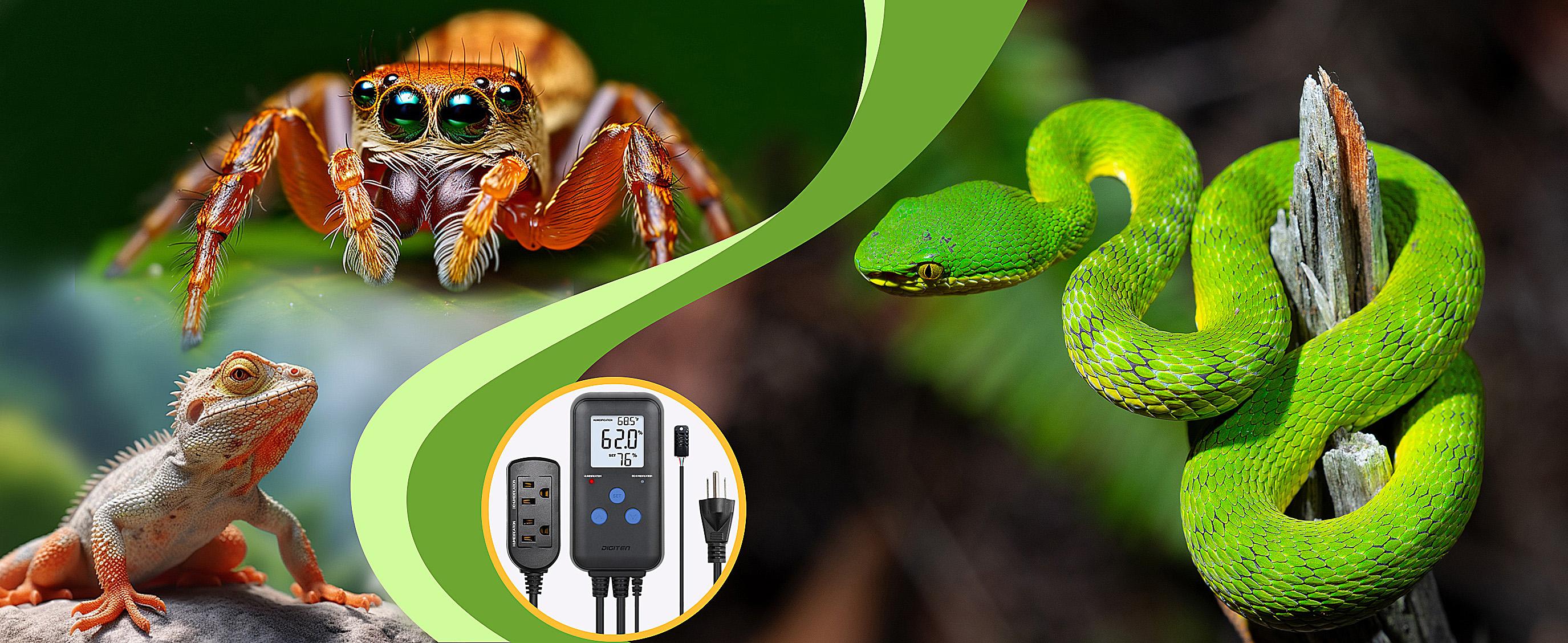 DIGITEN DHC312 Digital Display Humidity Controller, Pre-wired Dual-Stage Outlet with Temperature Display, Humidifier and Dehumidifier Controller, Suitable for Grow Tents, Reptile Enclosures, Mushroom Rooms, and Fans DIGITEN DHC312 Digital Display Humidity Controller, Pre-wired Dual-Stage Outlet with Temperature Display, Humidifier and Dehumidifier Controller, Suitable for Grow Tents, Reptile Enclosures, Mushroom Rooms, and Fans