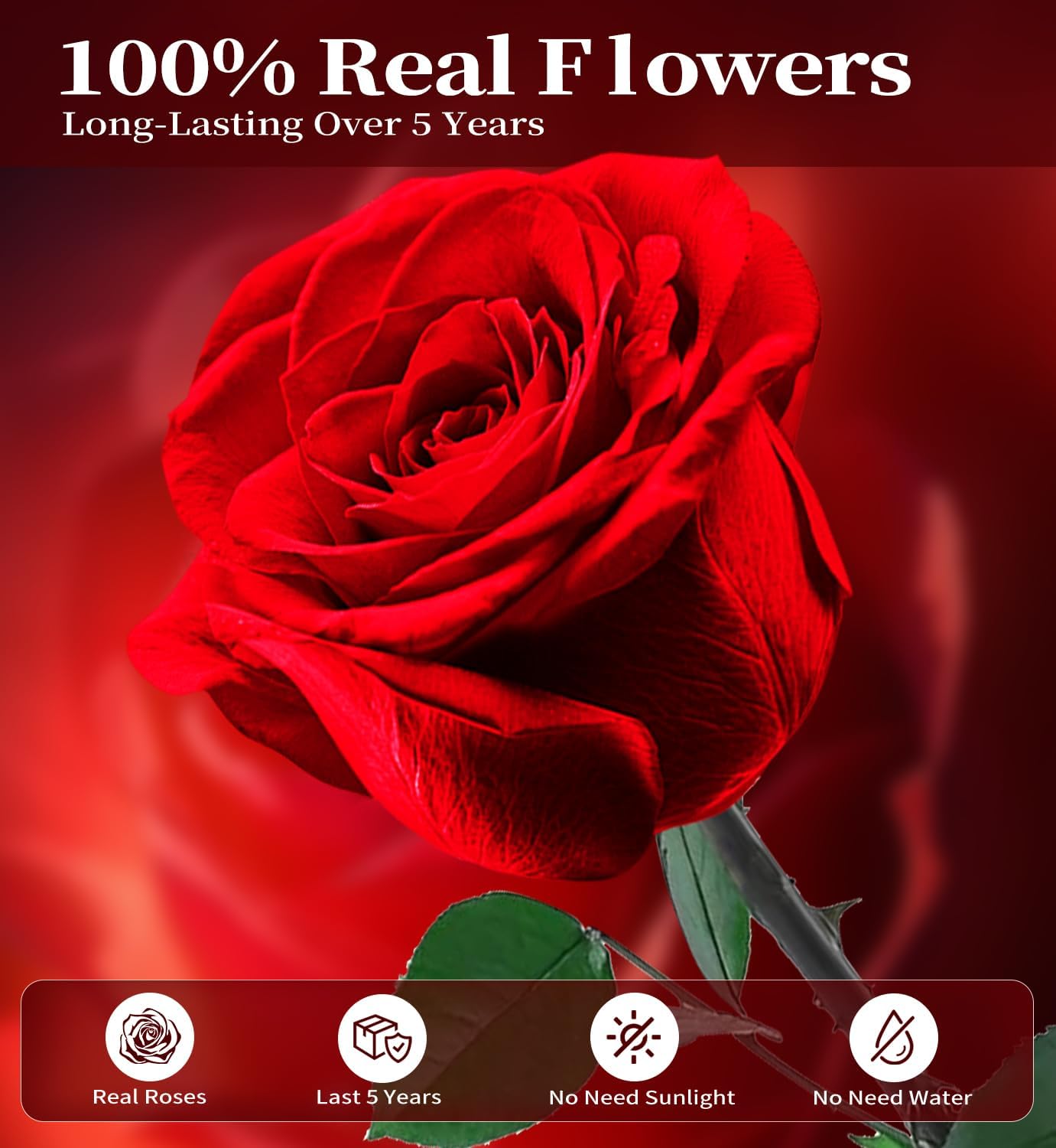 Preserved Red Rose Bouquet, Long-Lasting (5 Years) Gift for Women, Mom, Grandma, Wife, Friends - Birthday, Mother's Day, Anniversary, Valentine's Day