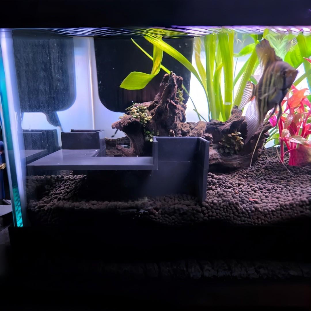 270° Full View Aquarium Biome Cave Set for Tropical Fish and Shrimp, Interactive Tunnel and Hideaway, Safe Resin and Connectable Design