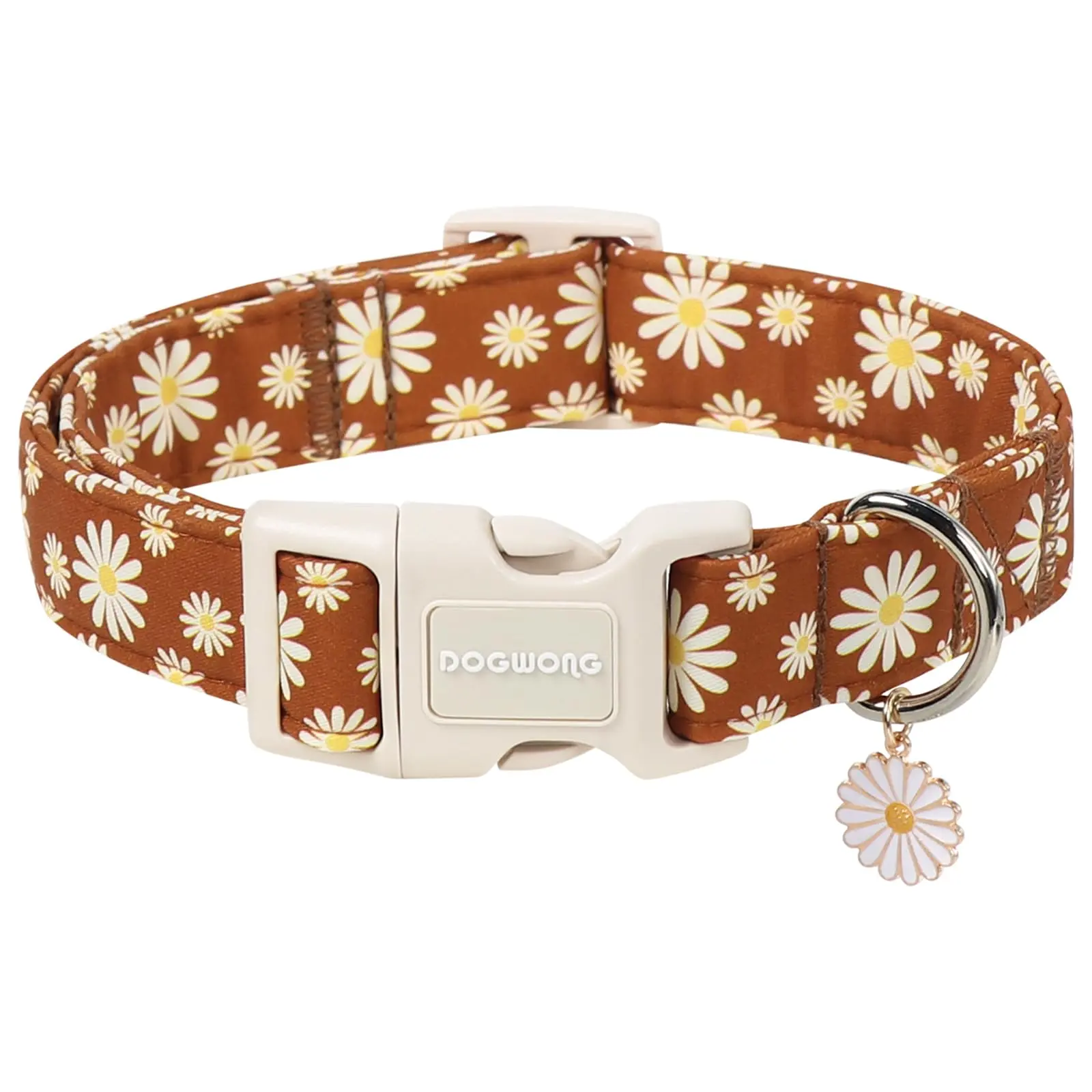 Z:Autumn Daisy
