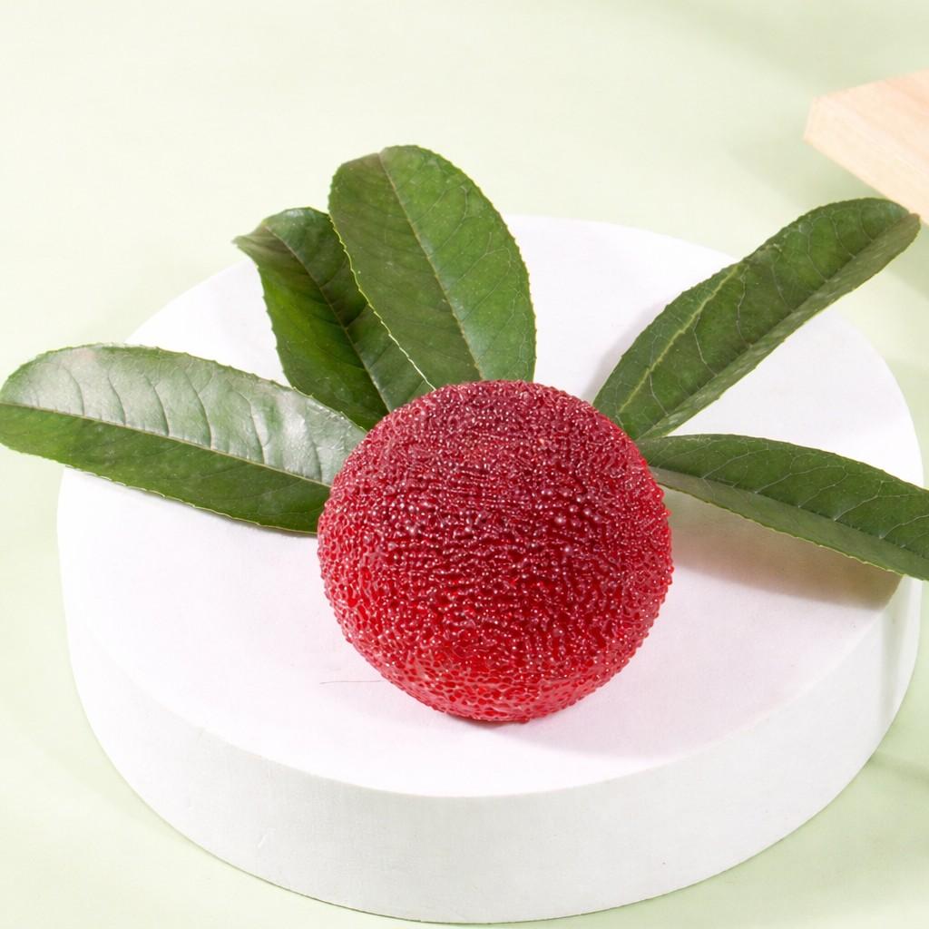 Stress Relief Simulation Lychee Toys, Realistic Design, Perfect Gift for Stress Reduction & Relaxation, Ideal for Home Use, Stress Relief Model