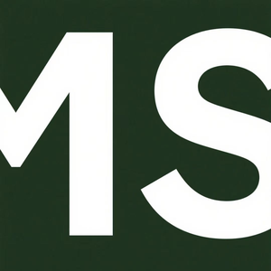 Meridian Standard IV