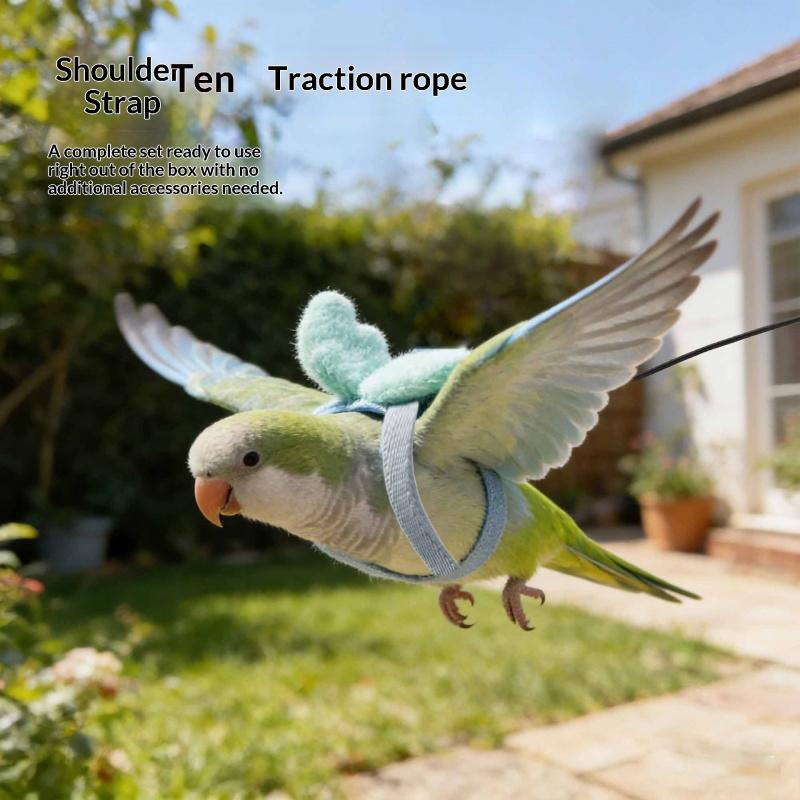 Adjustable Parrot Harness Leash Set, Suitable for Budgies, Lovebirds, Sun Conures, Small Pet Bird Training Kit, Comfortable & Secure