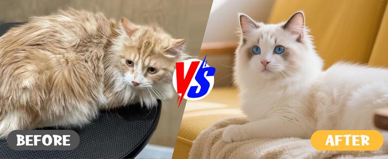 Product Introduction of 3-IN-1 Grooming Mist Glove for Pets Shedding &Grooming,Rechargeable Multifunctional Pet Grooming Brush ，Remove fly lint，Removal Gloves for Short & Long Haired Cats/Dogs,Reusable Pet Hair Remover Glove for Carpet, Couch, Clothing, Furniture 3