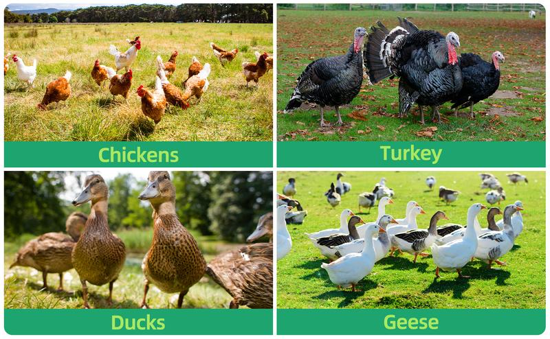 Poultry Netting Electric Fence - 41.5" H x 164' L, Portable Livestock Nets Mesh for Chickens, Ducks, Geese, Turkey, Electric Fencing for Backyards, Homesteaders, Farms, Ranches, Gardens