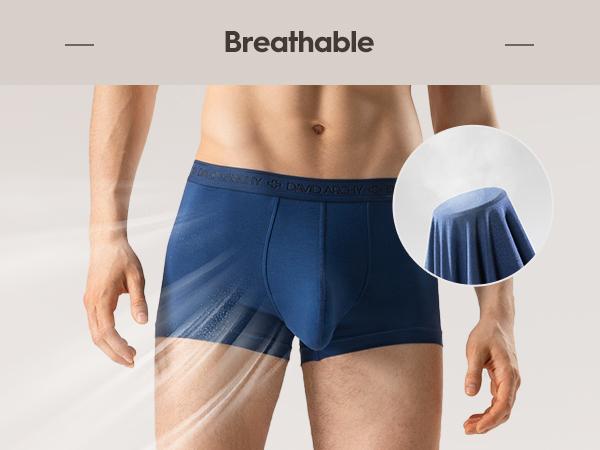 DAVID ARCHY Men's Dual Pouch Underwear Micro Modal Trunks Separate Pouches with Fly 4 Pack Ice Silk Cooling Sensation Comfort Odor Control Spandex Fabric Gift Set Father's Day Natural Breathable Silky Soft Menswear Balls TikTokShopRestock Briefs Elastic