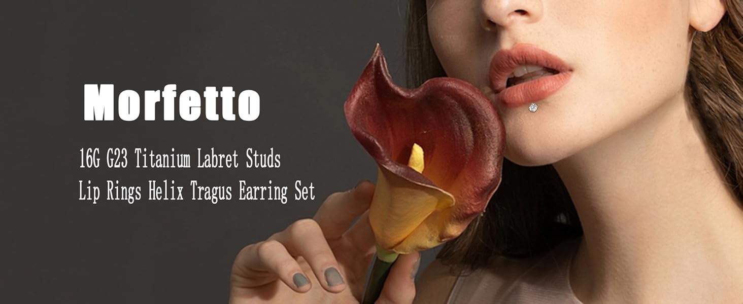 Morfetto 8Pcs 16G Helix Tragus Piercing Jewellery G23 Titanium Internally Threaded Labret Lip Studs Piercing CZ Nose Stud Helix Tragus Earrings Monroe Piercing Jewelry