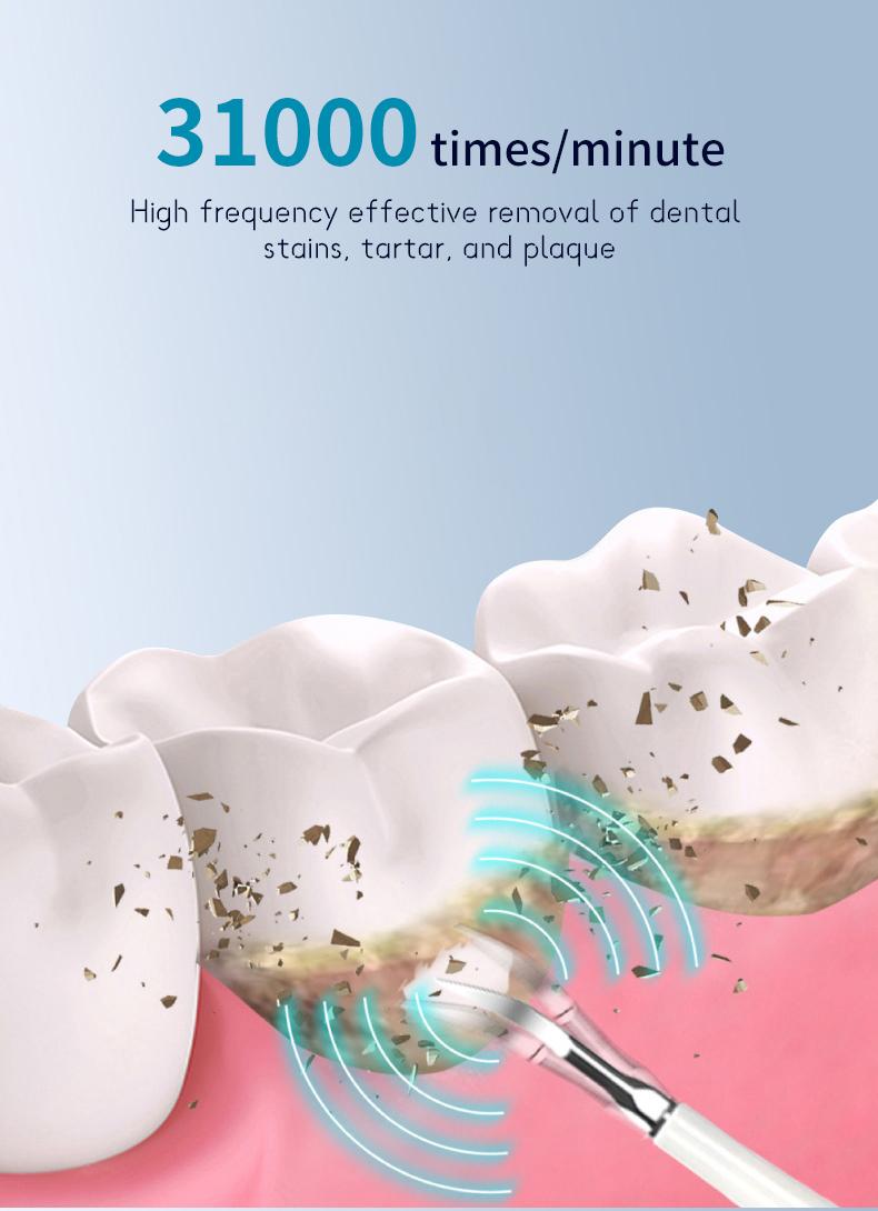 [Holiday Haul] Professional Teeth Cleaning Kit – 5 Modes for Removing Stains, Plaque & Tartar, with Mirror and Extra Brush Heads, Perfect for Beginners & Sensitive Teeth