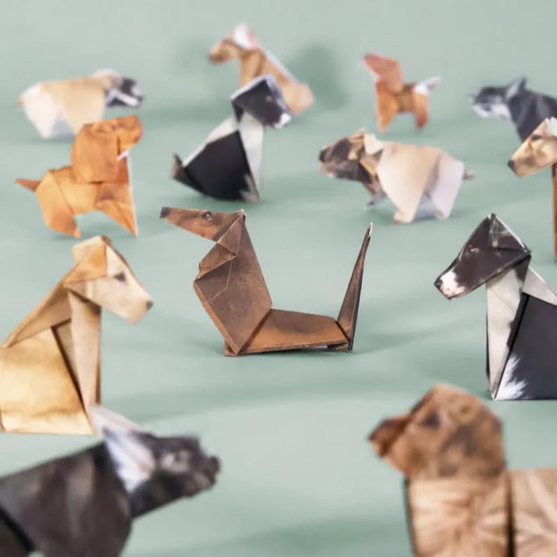 50 Pcs DIY Cat Dog Origami Set, Foldable 3D Cute Paper Craft Kit, Papercraft Figures, Handmade DIY Activity, Party Holiday Gift, Creative Christmas Present