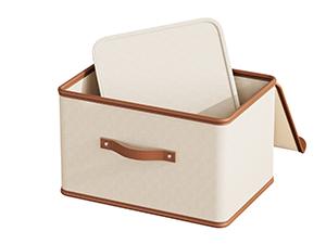 2 Pack Storage Bins with Lids, Collapsible Closet Organizer Container, Fabric Organizer Box with Handles, Decorative Storage Boxes with Lids for Organizing Clothes, Books, File, White, Large