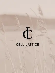 background preload poster image 