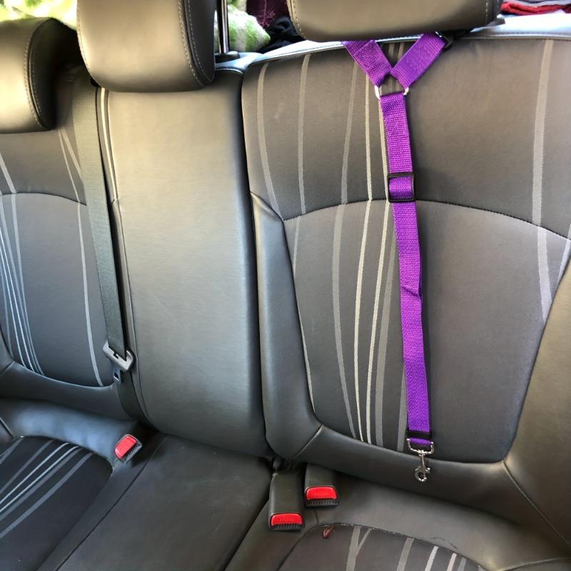 1Pc Adjustable Pet Car Safety Belt, 2-in-1 Nylon Leash Strap with Rear Seat Safety Harness for Dog Cat Travel
