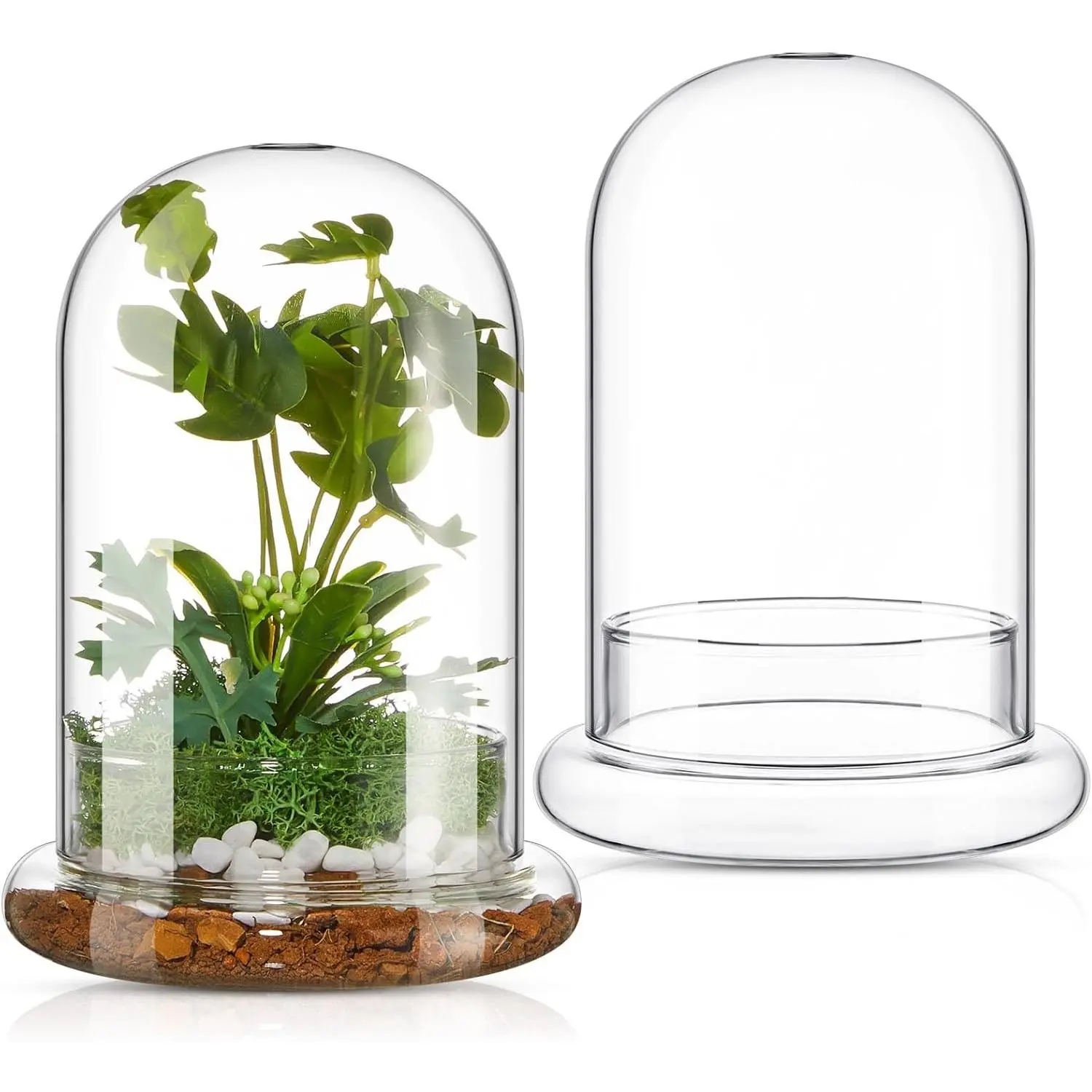 2 Pcs 5.9 x 7.9 Inch Glass Terrarium Dome Cloche with Air Hole & Glass Base, Clear Terrarium Containers Ventilated Plant Humidity Dome for Carnivorous Plants Orchids Tropical Cuttings, No Leakage