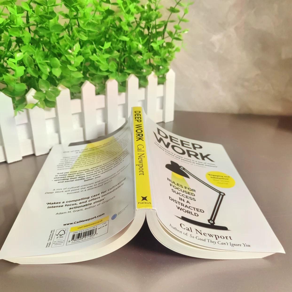 Depth Work Deep Work Rules for Focused Success, Genuine Book, Essential Guide for Enhanced Focus & Productivity, Must-Read Business Literature, Modern