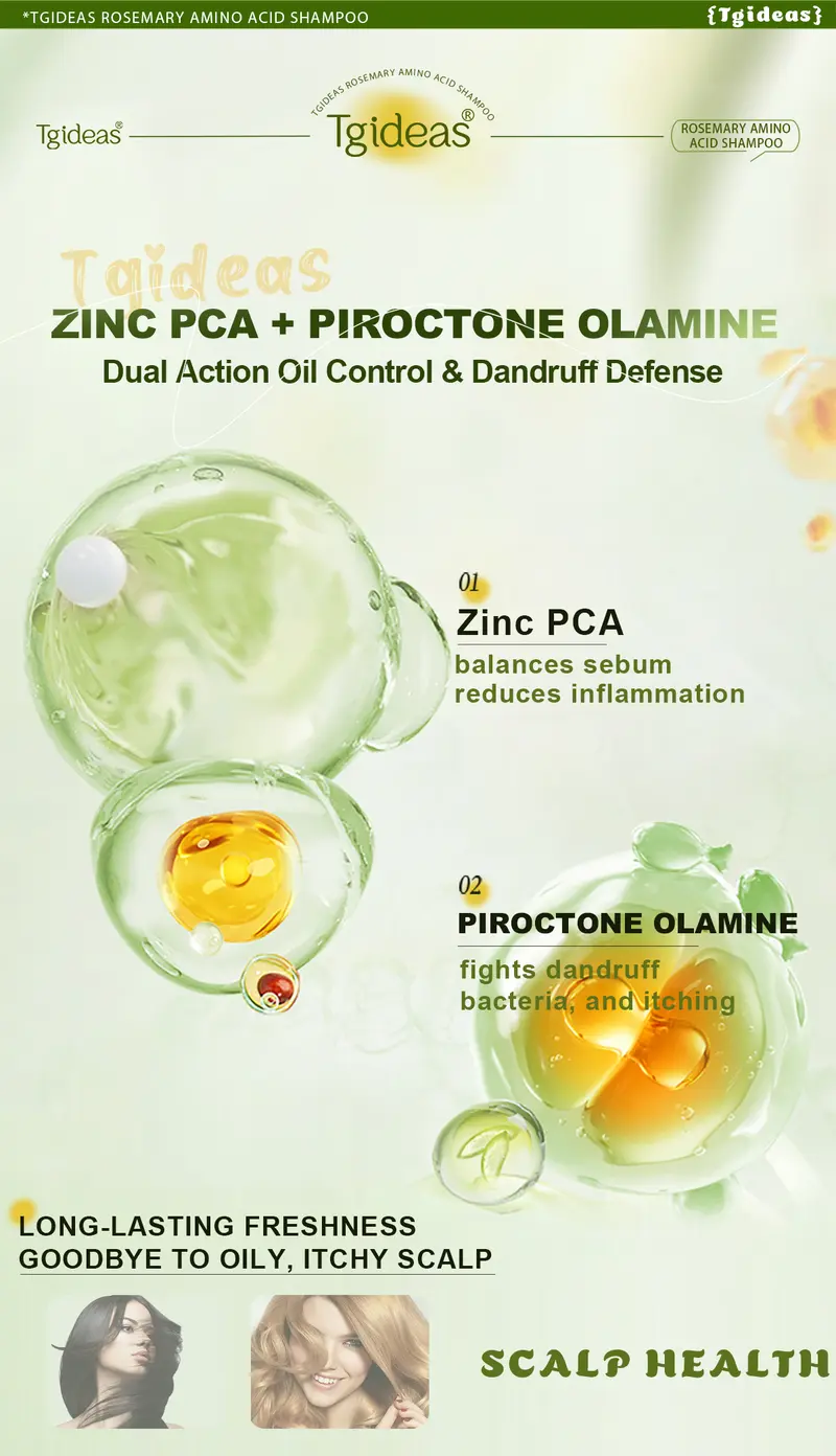 Product Introduction of 【 Buy 1-Get 1 Free!】Tgideas Anti-Hair Fall Hair Loss Treatment Shampoo Oil Control Anti Dandruff Haircare Rosemary Zinc PCA Help Hair Growth Amino Acid Hydrolyzed Protein Repair Reduce Hair Loss Scalp Cleanser Conditioner 250ML Gentle Smoother 20