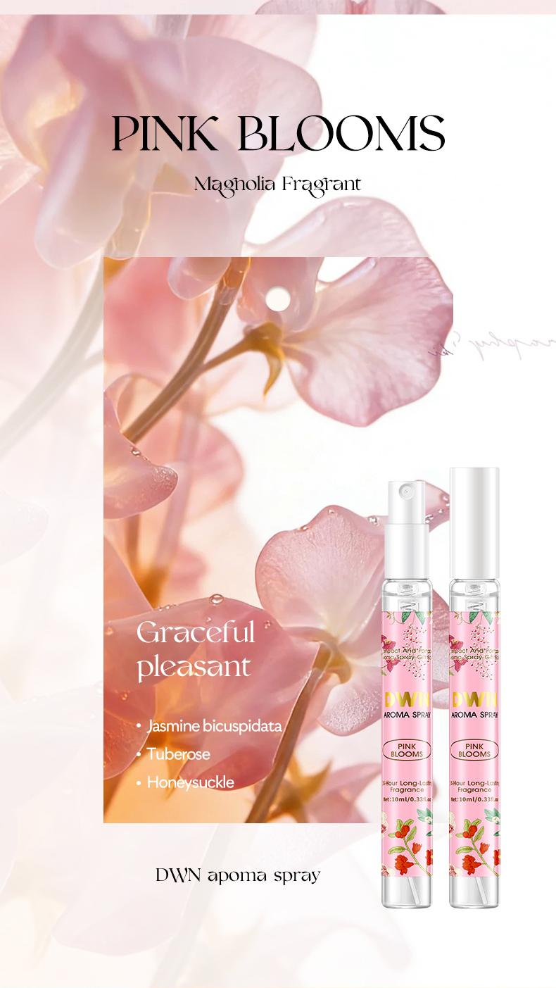 High-End Secret Perfume Set 10 X 10ML, Luxury Fragrances, Perfect Gift for Perfume Lovers, Perfume Sampler Set for Beginners