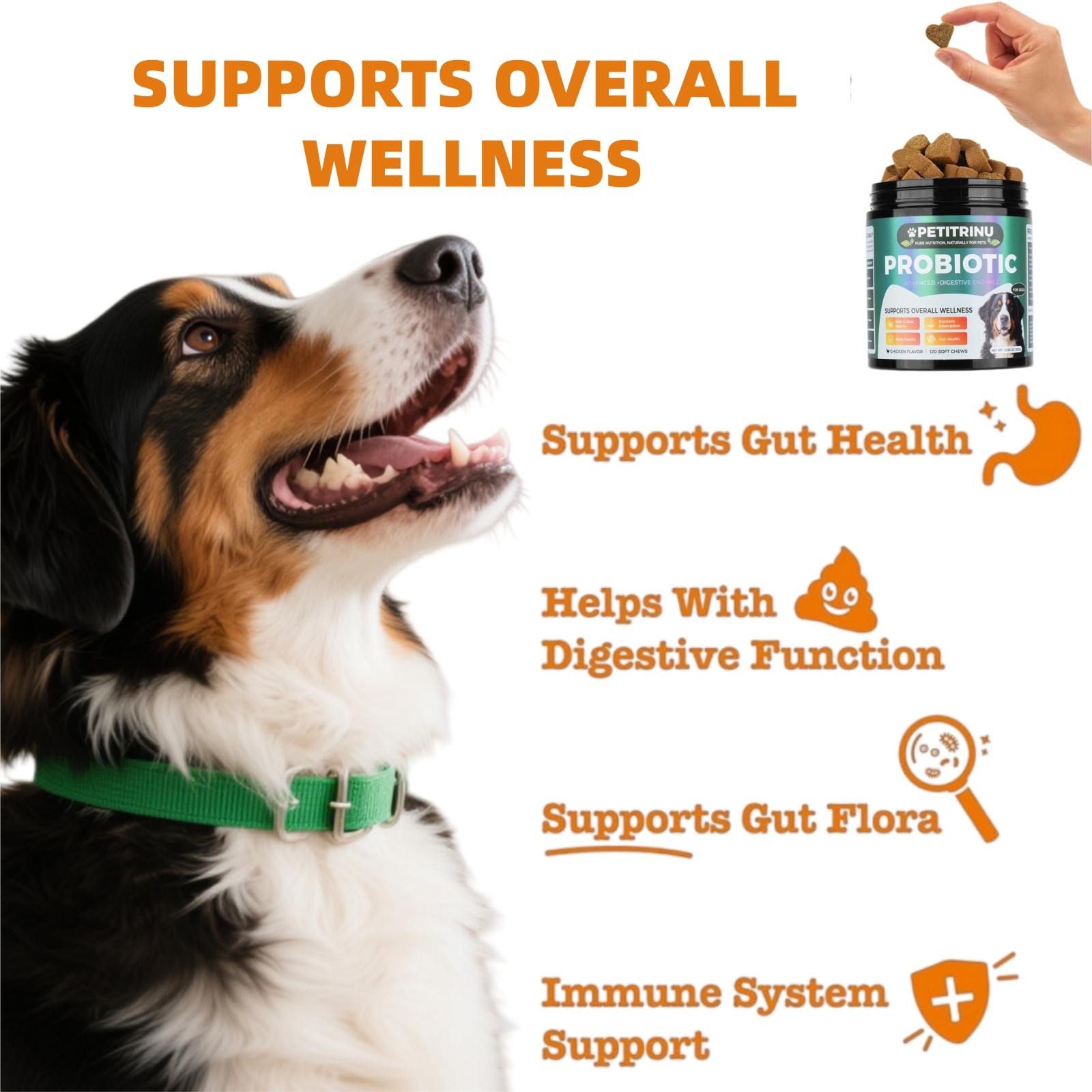 Probiotics for Dogs, All-Natural Gut & Skin Support for Dogs, Support Gut Health, Digestive Health & Seasonal Allergies CHICKEN Flavor 120 Soft Chews