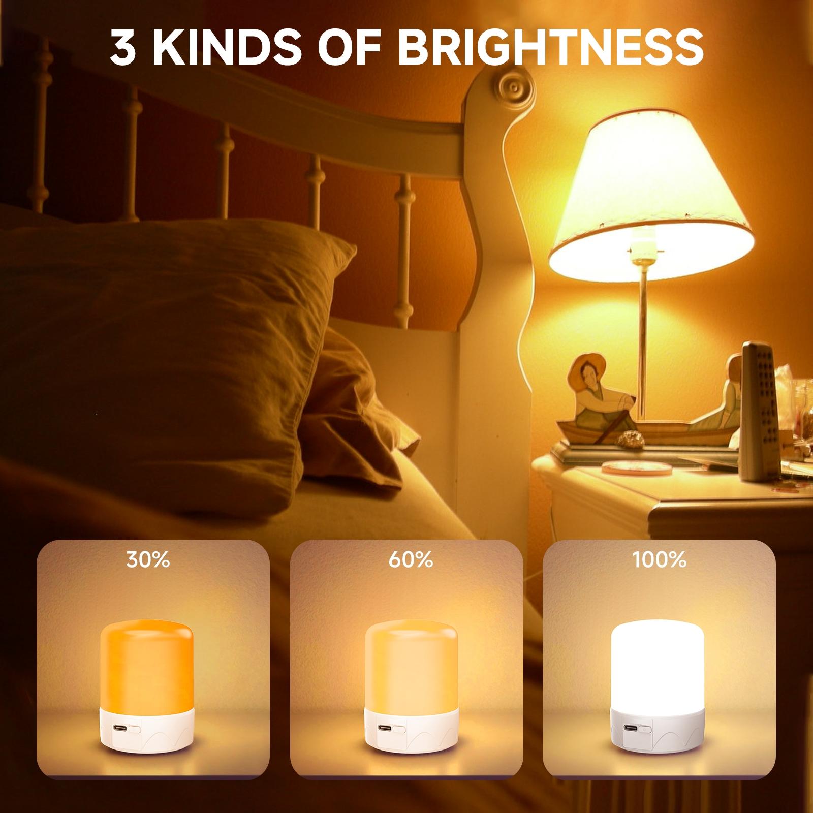 USB-C Rechargeable LED Light Bulbs with Remote Control, Adjustable Brightness Touch Control Timer Magnetic Emergency Lights for Camping