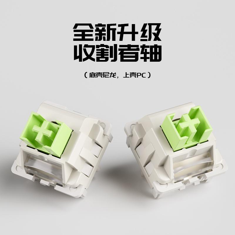 LEOBOG*AULA 100 PCS STAR VECTOR SWITCHES