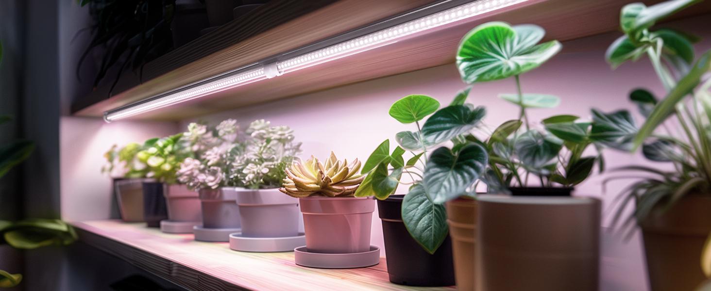 Barrina T8 LED Grow Lights, Full Spectrum, 180W(6 x 30W, 1000W Equivalent), 3ft Grow Light Strips, Linkable Design, Pinkish White, 6 Packs Barrina T8 LED Grow Lights, Full Spectrum, 180W(6 x 30W, 1000W Equivalent), 3ft Grow Light Strips, Linkable Design, Pinkish White, 6 Packs