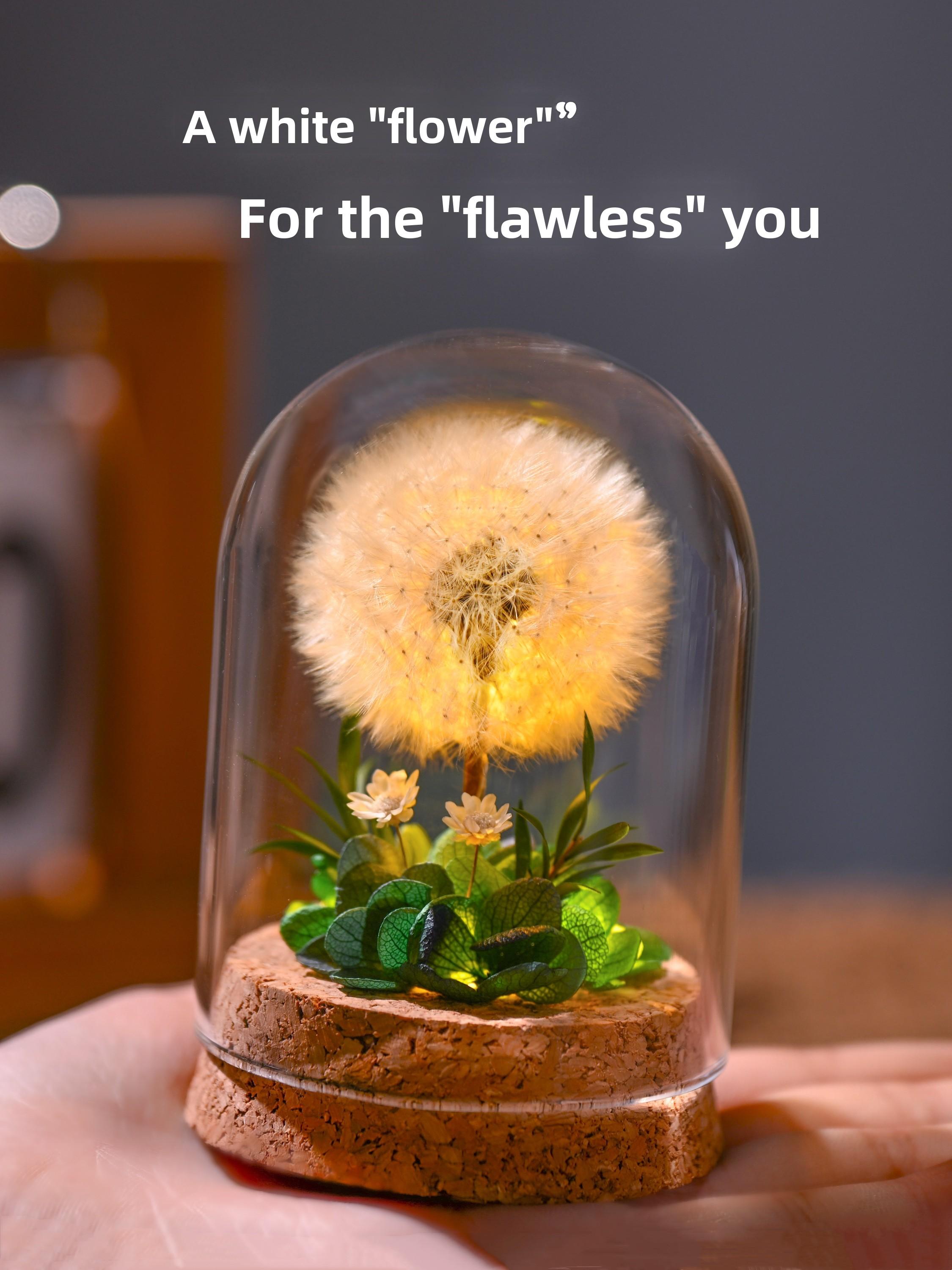 Light Up Dandelion in Glass Dome,Birthday Gifts,Flower Gifts for Women Girlfriends Wives Mothers Daughters Sons,Desk Decor Valentine's Day Mother's Day Christmas Thanksgiving Day,Yellow Leaf