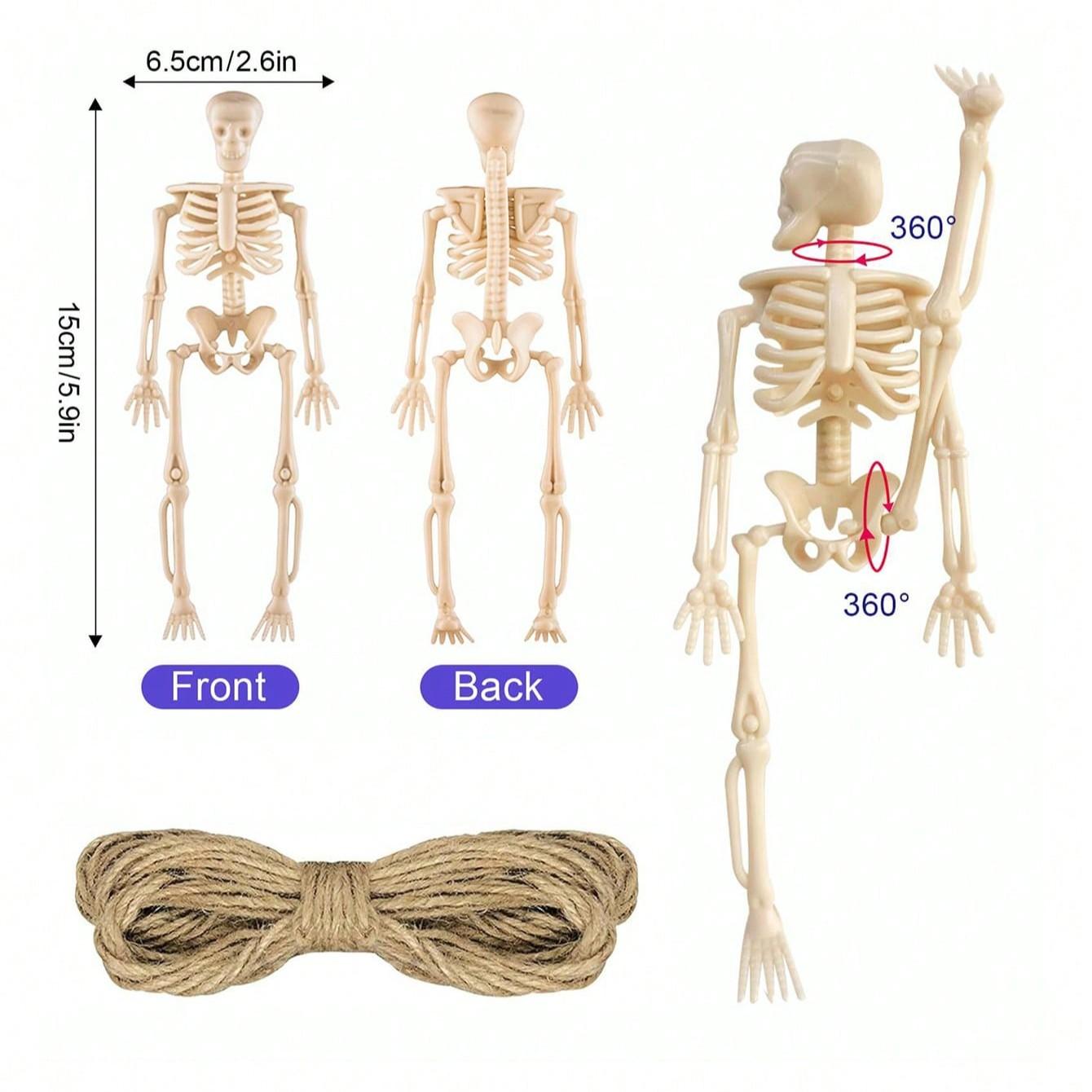 Halloween Decorations, Adjustable Small Skull Plastic Skeletons, Perfect for Porch, Yard, Cemetery, Haunted House Parties, DIY Halloween Props