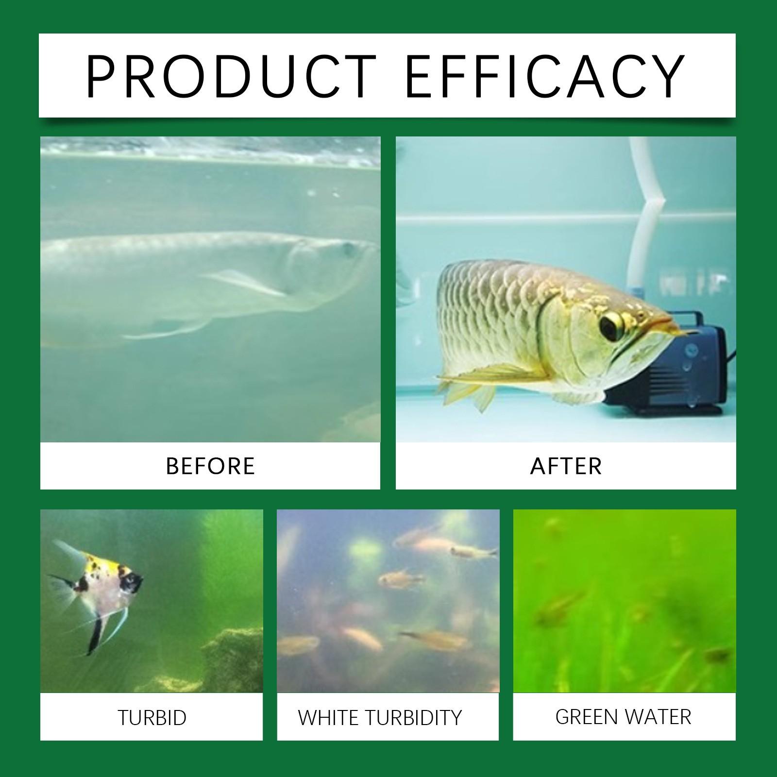Fish Tank Water Purification Tablets, Aquarium Cleaning Deodorization Algae Removal, Clear Pond Sludge, Essential Fish Pool Care