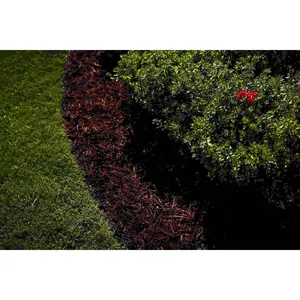 Brown Mulch Dye, 3,200 Square Feet Coverage – Mulch Colorant for Landscaping & Garden Beds, Wood Mulch Dye, Mulch Color Restorer & Playground Bark Mulch, Eco-Friendly Mulch Paint – 1-Quart