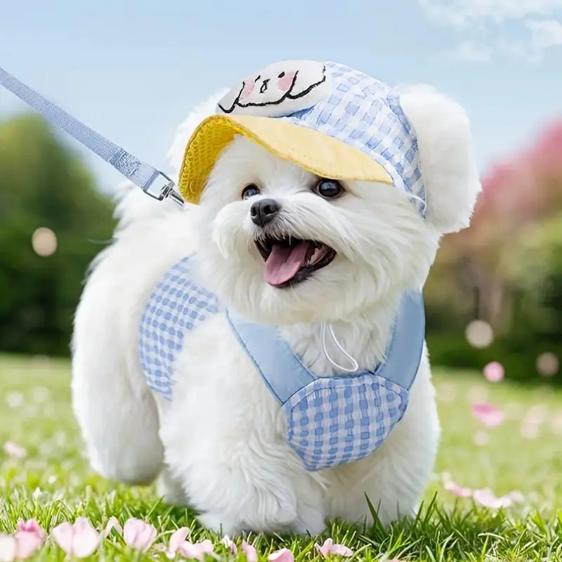 Cartoon Graphic Mesh Fabric Harness and Leash Set with Matching Hat, Adjustable Durable Washable Puppy Walking Outfit for Small/Medium Dogs, Secure Walks Outdoor Travel Pet Photo Accessory, Leash Included, Puppy Harness And Leash