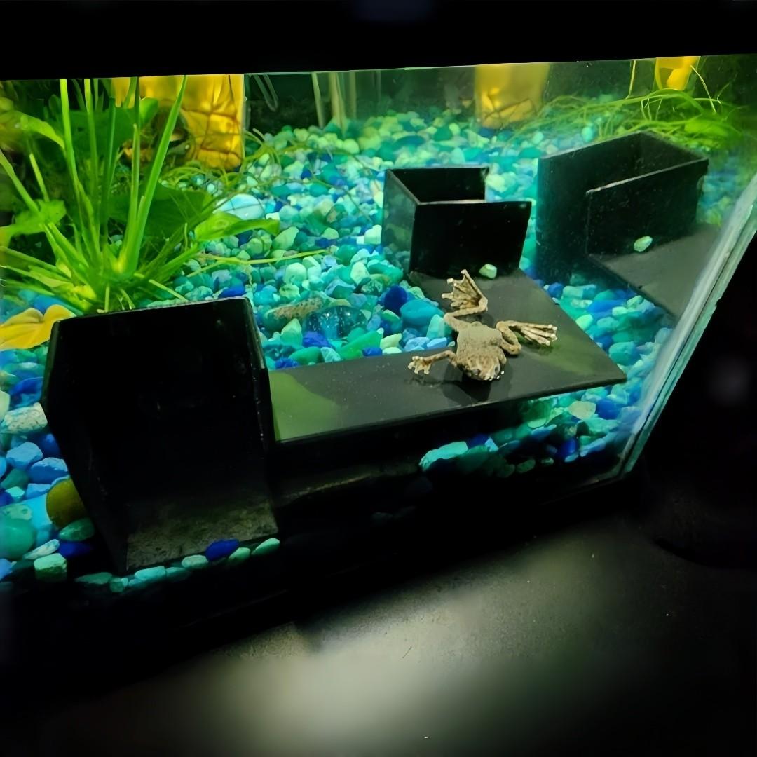 270° Full View Aquarium Biome Cave Set for Tropical Fish and Shrimp, Interactive Tunnel and Hideaway, Safe Resin and Connectable Design