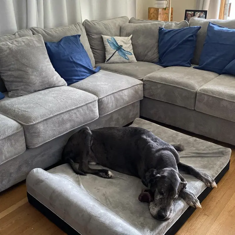 Product Introduction of Laifug Orthopedic Memory Foam Extra Large Dog Bed with double Pillow (50"x36"x10") Durable Water Proof Liner & Removable Washable Cover & Smart Design 21