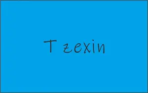 Tzexin shop logo