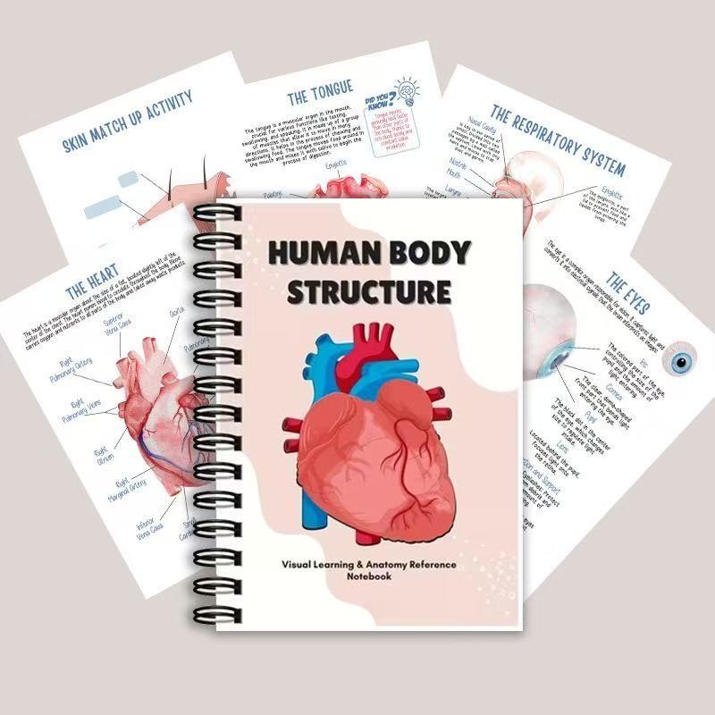 Human Anatomy Study Notebook, Visual Learning Content, Detailed Diagrams of Organs and Systems, Heart Structure, Blood Flow, Respiratory System