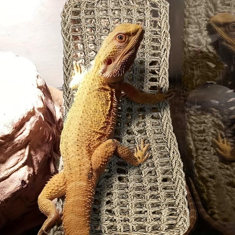 Bearded dragon hammock lizard reptile mountain climbing lounge chair seaweed fiber habitat tank accessories jungle toys suitable for hermit crab gecko snake iguana amphibians.