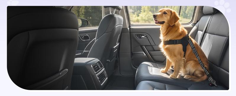 Pawaboo 2Pack Dog Seatbelt for Car, 3-in-1 Dog Car Seat Belt Bungee, Shockproof Dog Tether for Car with Buckle & Hook Latch, Adjustable Reflective Dog Car Harness Leash with 360° Lockable Buckle